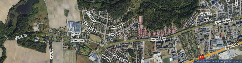 Zdjęcie satelitarne Głogowa ul.